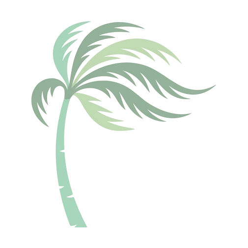 Cocora Studio
